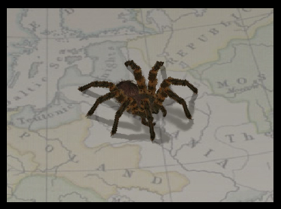 spider_web.jpg